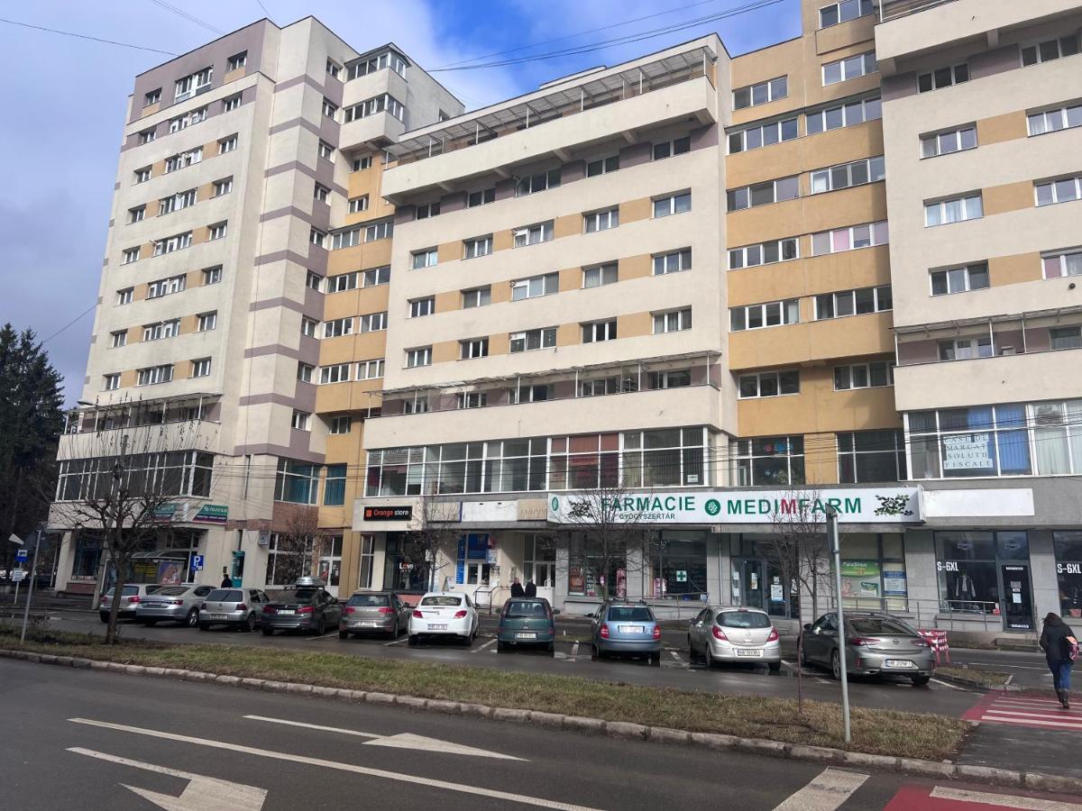 Victoria Apartment Меркуря-Чук Экстерьер фото